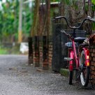 On the country road