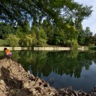 a day at the pond 