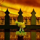 Wat Phra Non