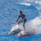 Riding Dolphins