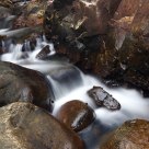 Flow