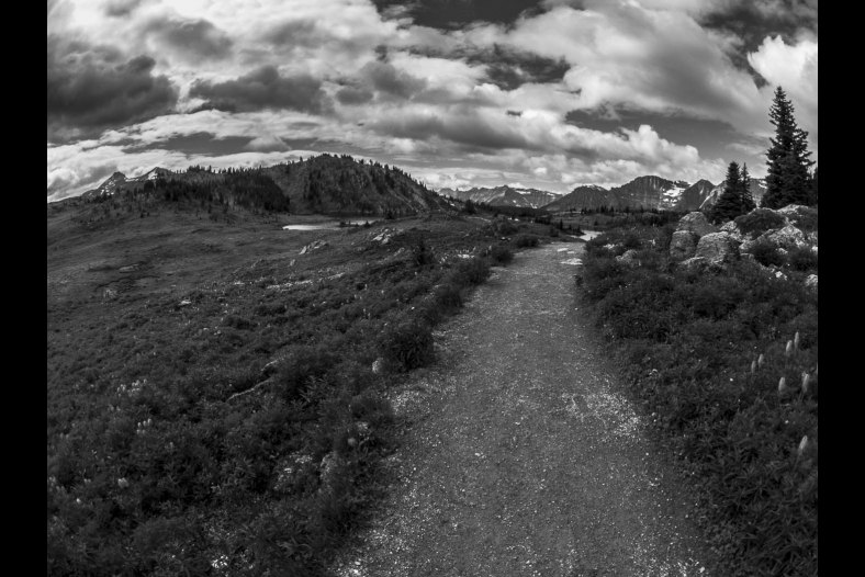 Long Road Ahead