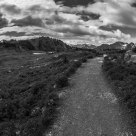 Long Road Ahead
