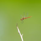 Landing