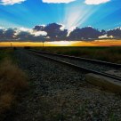 Rays n Rails