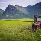 Lofoten islands