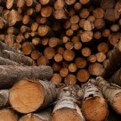 Log pile