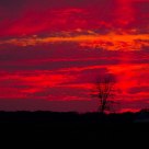 Twilight