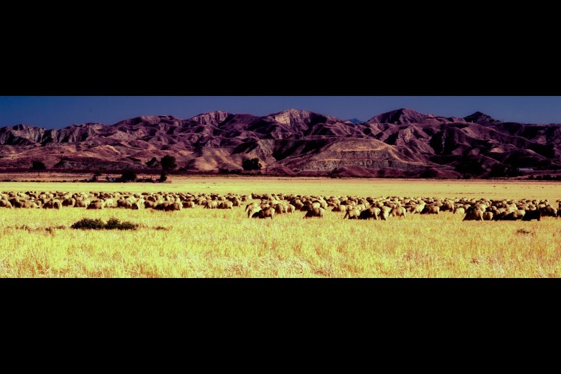 Out Of Not Africa