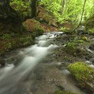 A creek