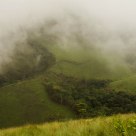 Misty Morning
