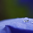 Droplet after the rain