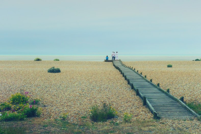 Staring At The Sea