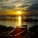 Through the Nets
