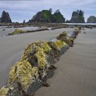 Low Tide Exposure