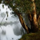 Banks of the Condamine