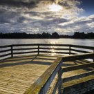 Lilydale Lake
