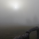 Mystic Fog