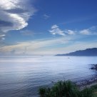 In the morning