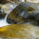 ask the stones about water whispering