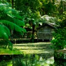 Cubby house by the lake