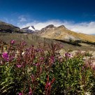 Rocky Mountain Splendor