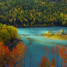 Beautiful autumn