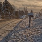 Snowy morning