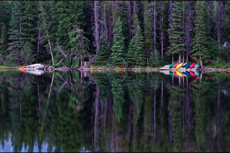 Serene Scene