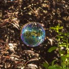 Bubble