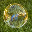 Colorfull Bubble