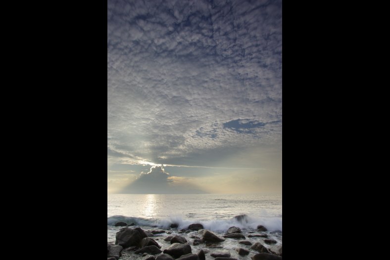In the morning