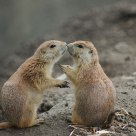 So in love.....