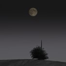 full moon over the field