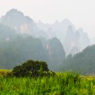 Zhangjiajie
