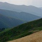 Pyrenean valleys
