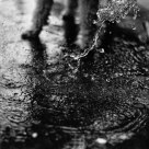 the water 