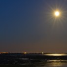 Oystercatching by moonlight