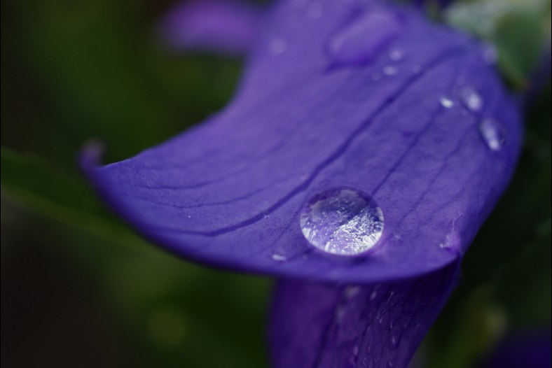 Droplet