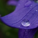 Droplet
