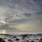 In the morning