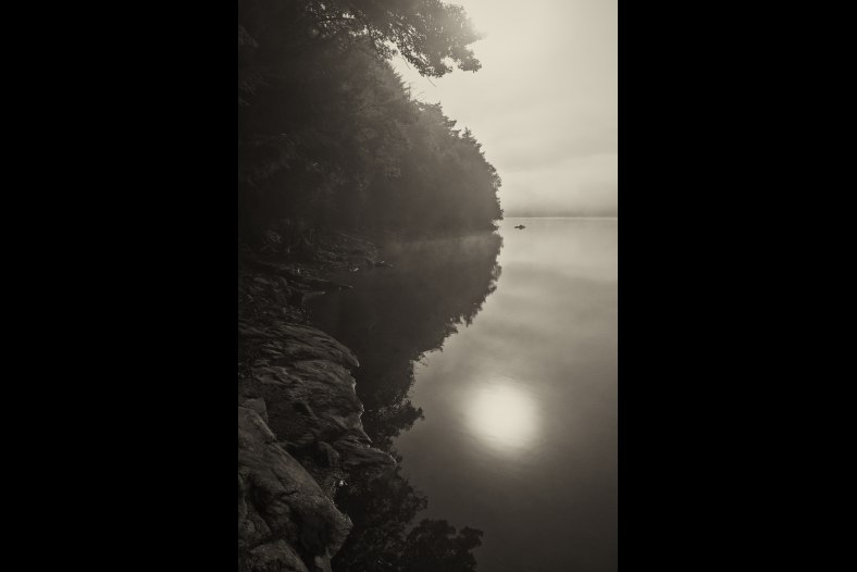 Dark Reflections