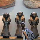 In the Museum