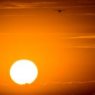Sunset II