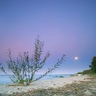 Blue Moon