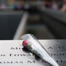A rose to not forget...