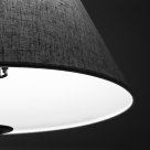 Light