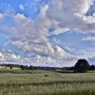 Autumn fields