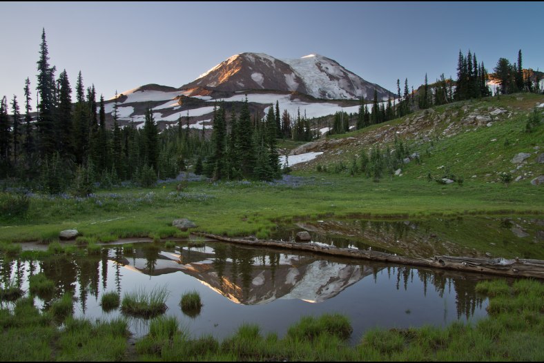 Adams Reflection