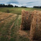Bales